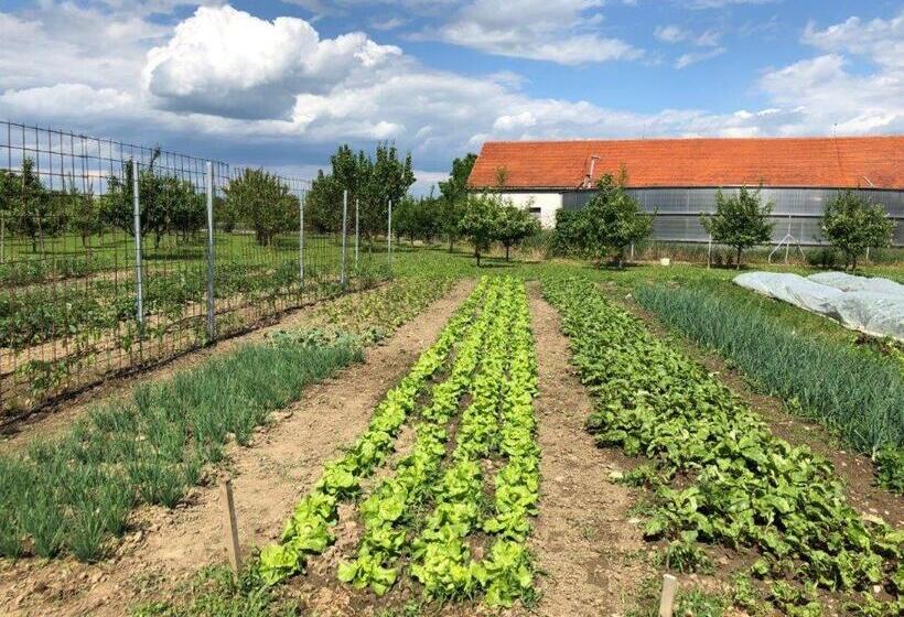 בית מלון כפרי Mlyn