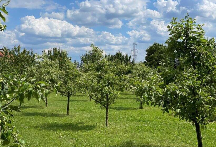 בית מלון כפרי Mlyn