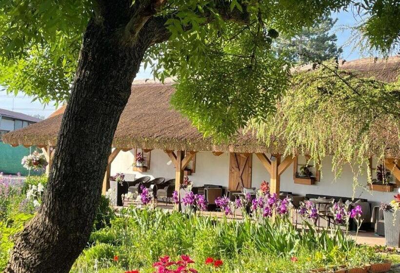 בית מלון כפרי Mlyn