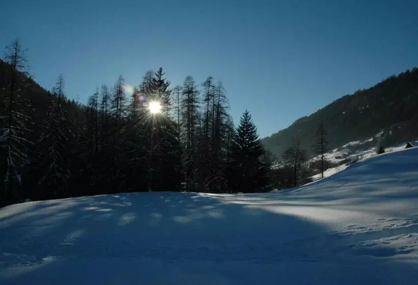 Hotelli Restaurant Drei Tannen