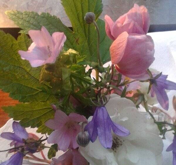 Kullabygdens Bed & Breakfast