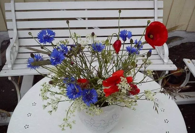 Kullabygdens Bed & Breakfast