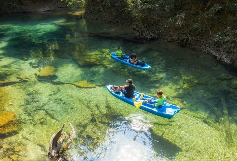 פנסיון Springriver Resort