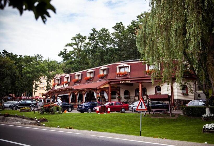 Pensiune Restaurant Lyra