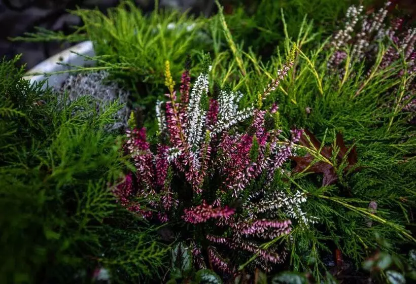 Pensiune Restaurant Lyra