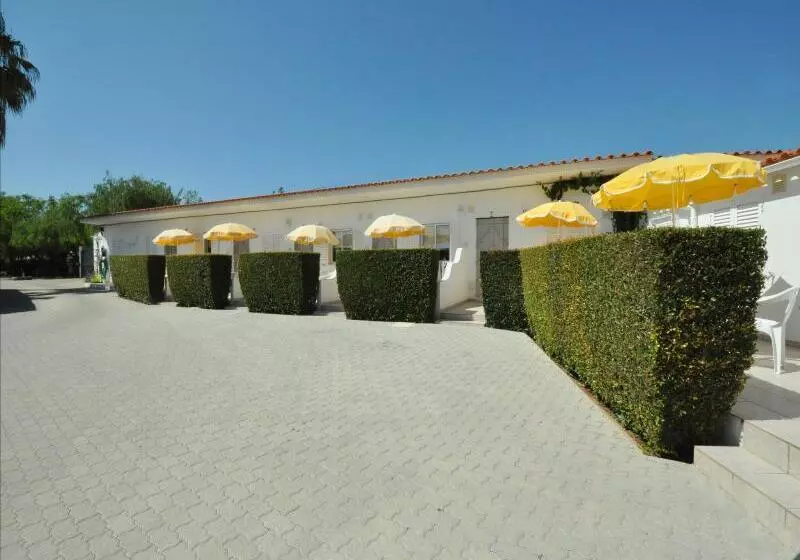 ホテル Apartamentos Flor Da Laranja, Albufeira