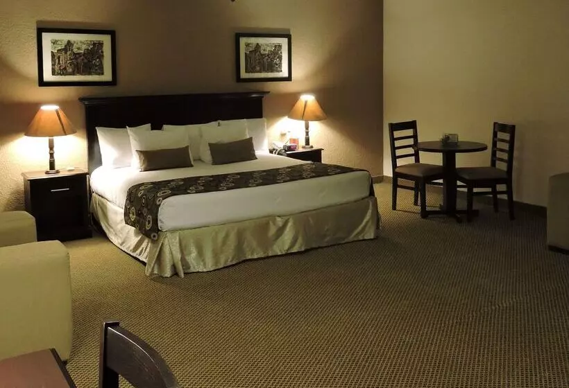 فندق Best Western Posada Del Rio