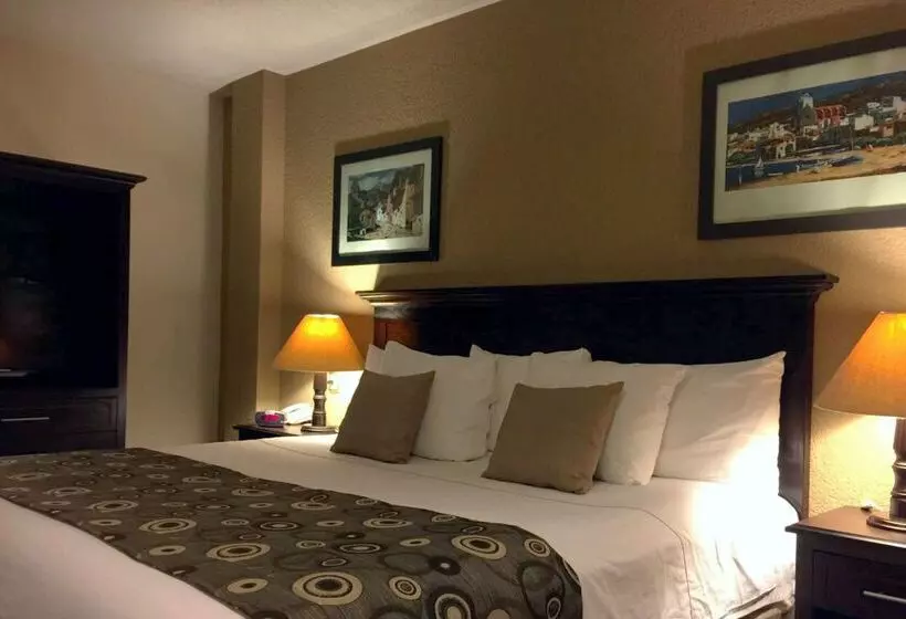 فندق Best Western Posada Del Rio