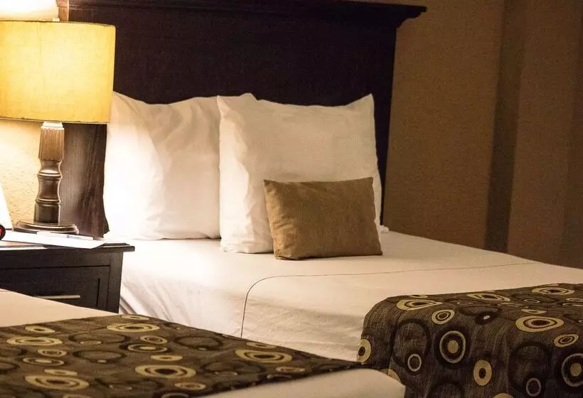 فندق Best Western Posada Del Rio