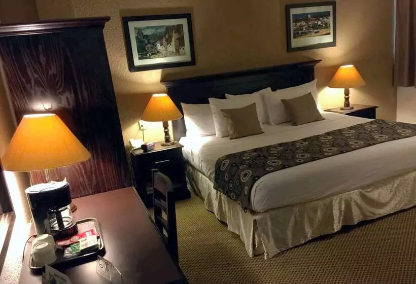 فندق Best Western Posada Del Rio