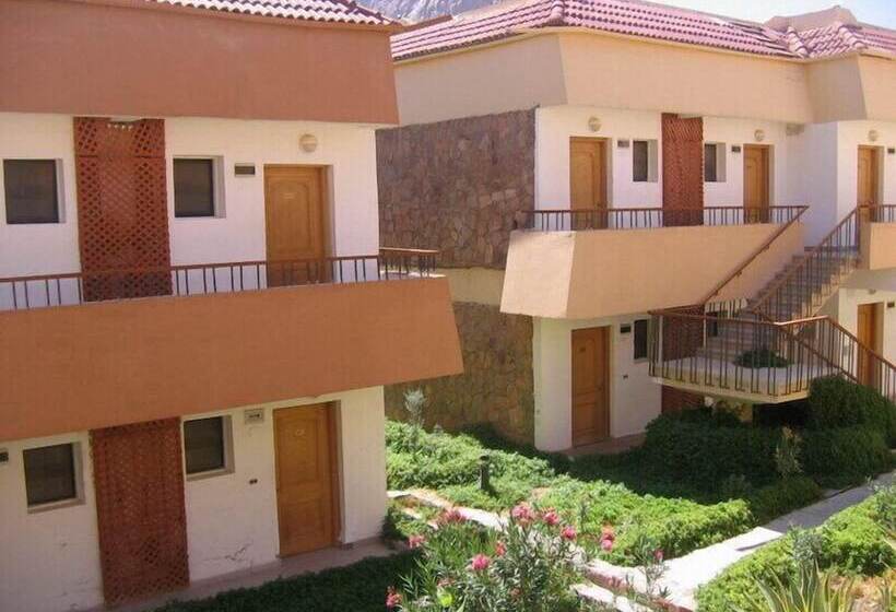 هتل Catherine Plaza