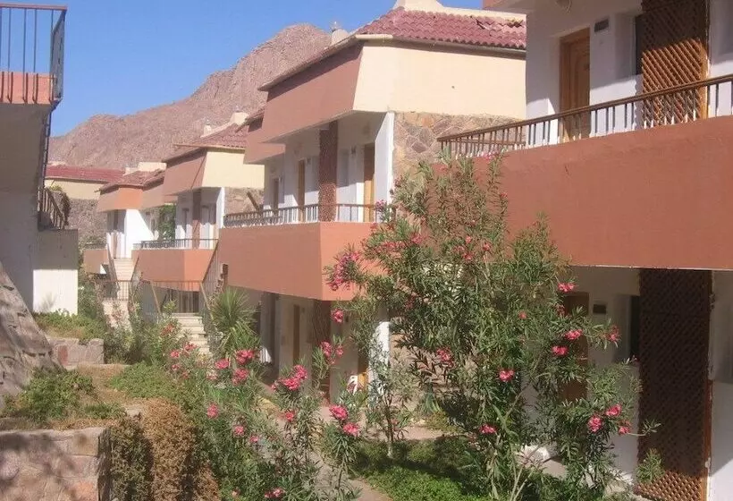 هتل Catherine Plaza