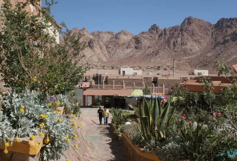 هتل Catherine Plaza