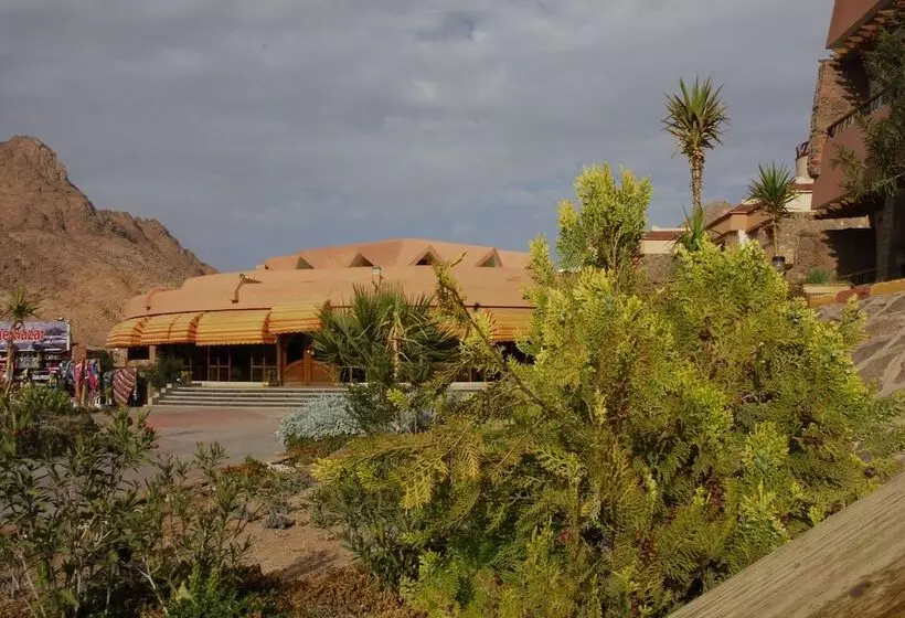 هتل Catherine Plaza