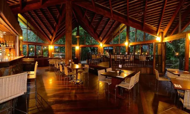 Отель Ferntree Rainforest