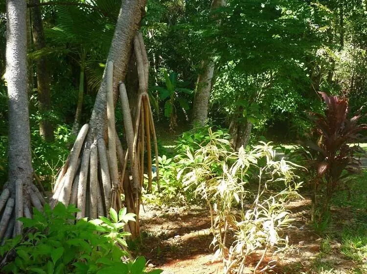 Отель Ferntree Rainforest