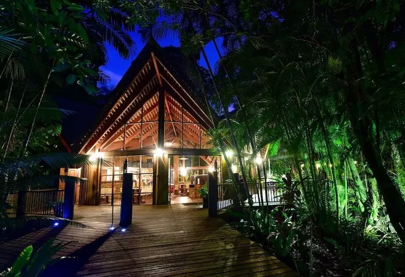 Отель Ferntree Rainforest