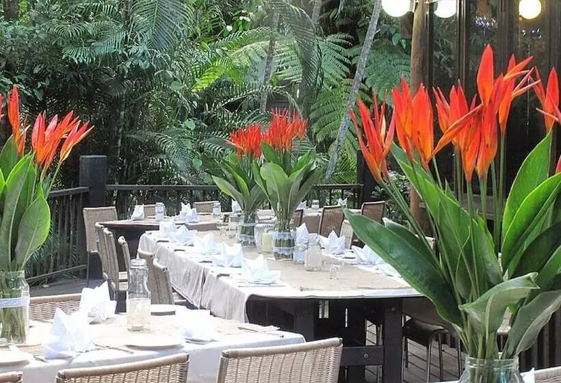 Отель Ferntree Rainforest