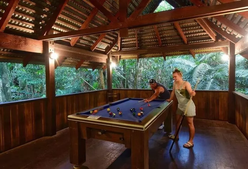 Отель Ferntree Rainforest