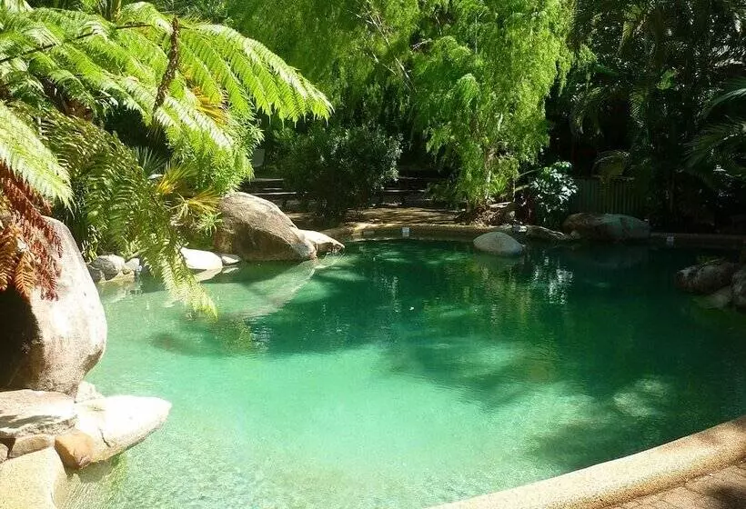 Отель Ferntree Rainforest