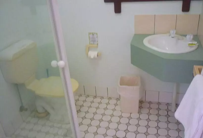 Отель Ferntree Rainforest