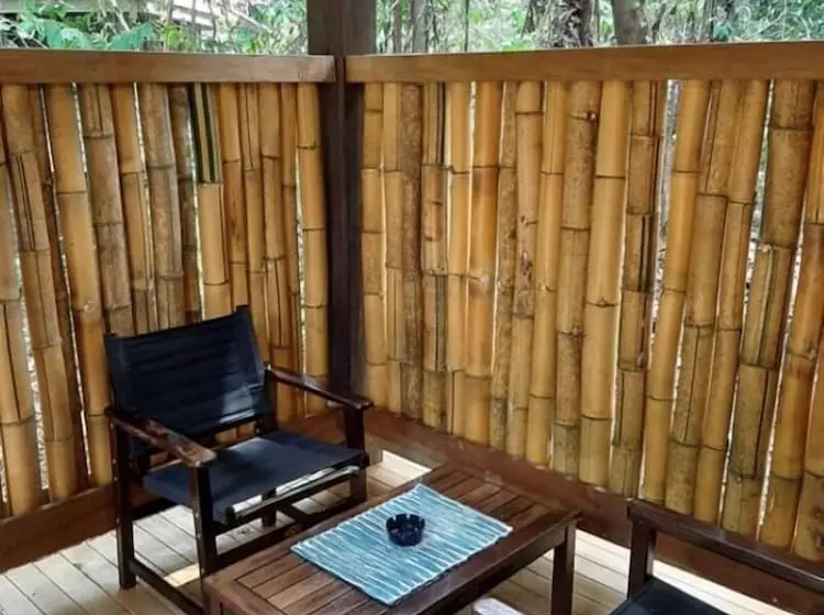 Отель Ferntree Rainforest