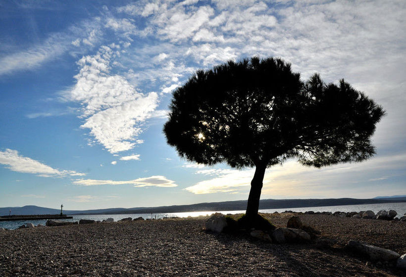 בית מלון כפרי International