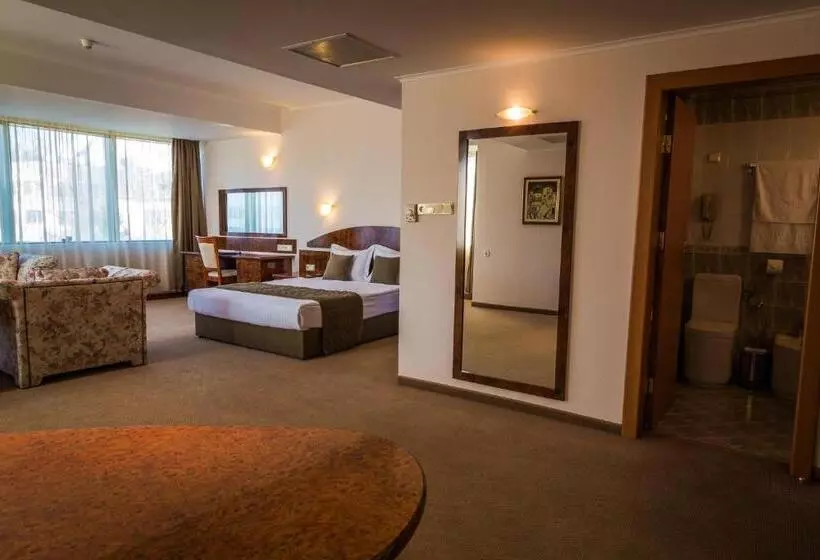 فندق Sevlievo Plaza