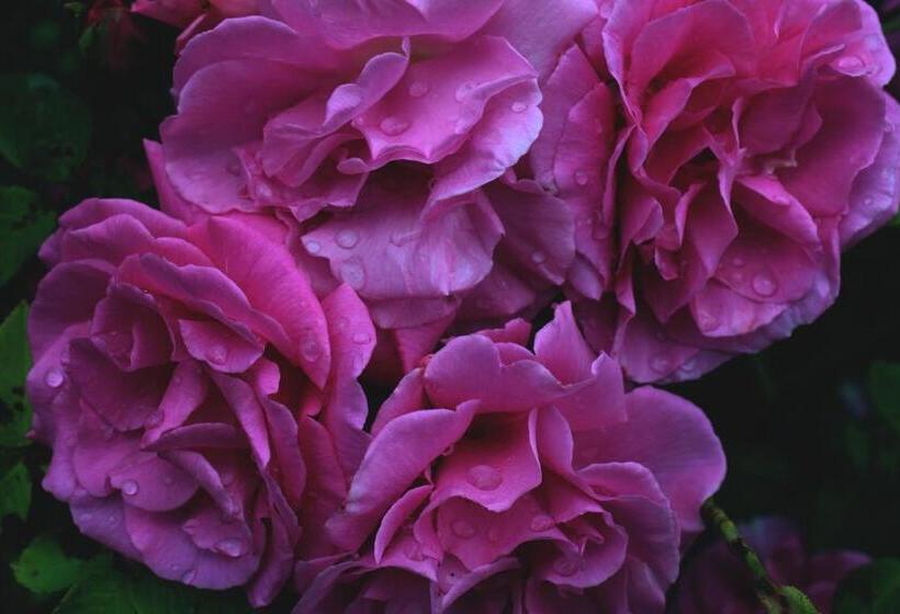 민박 Bloemenboerderij Aperloo