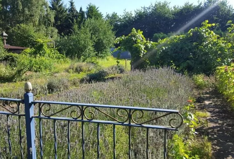 Aamiaismajoitus (B&B) Bloemenboerderij Aperloo