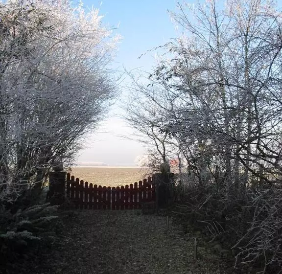 ベッドアンドブレックファースト De Witte Wolk