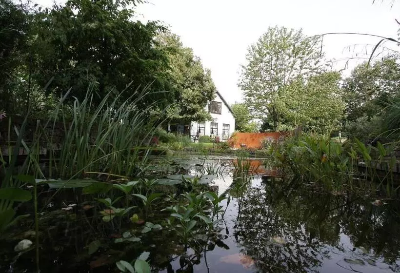 ベッドアンドブレックファースト De Witte Wolk