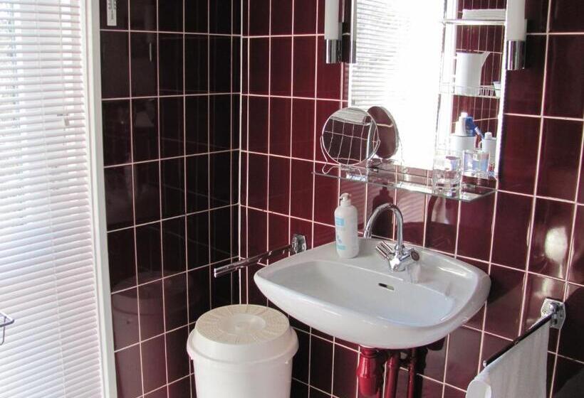 مبيت وإفطار De Witte Wolk