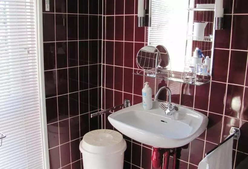 ベッドアンドブレックファースト De Witte Wolk