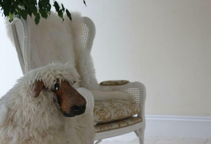 Nocleg ze śniadaniem Deeside Manor