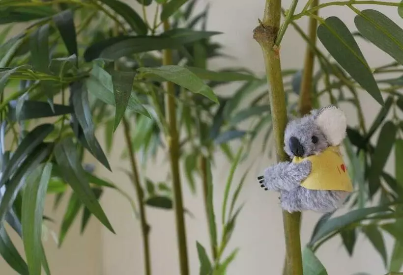 Aamiaismajoitus (B&B) Deeside Manor