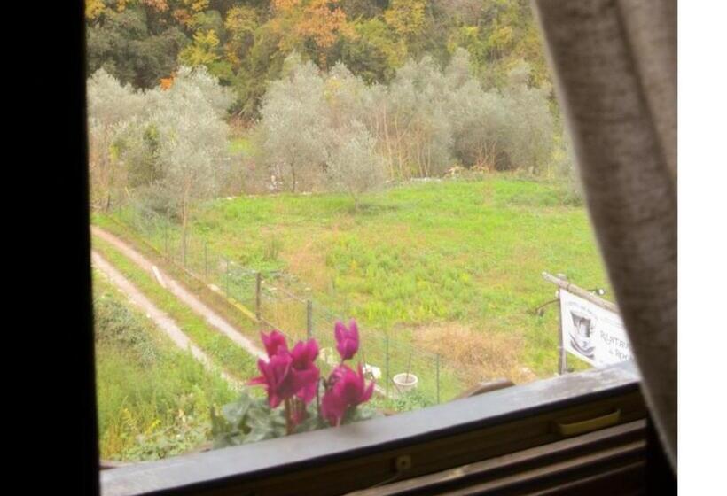 צימר Il Cappellaio Matto