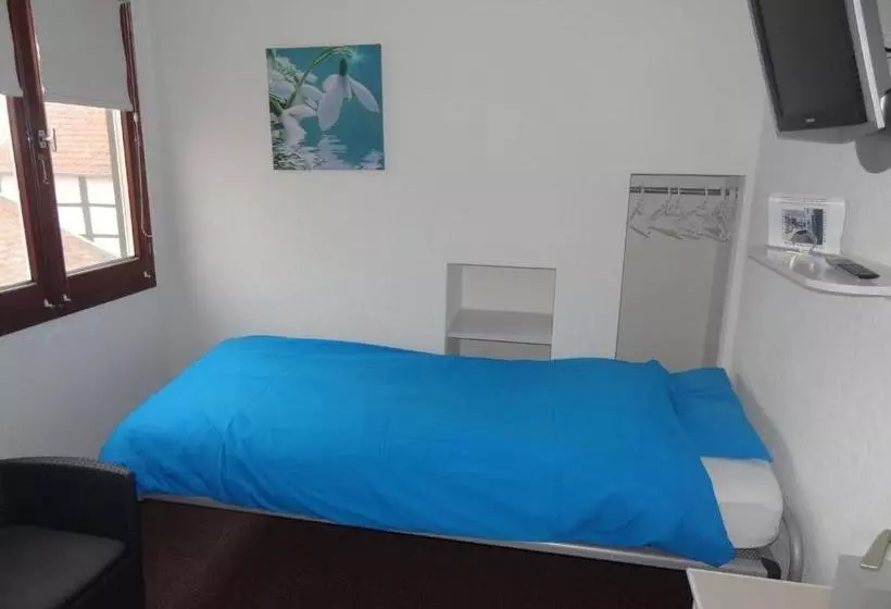 Aamiaismajoitus (B&B) T Reijmerhöfke