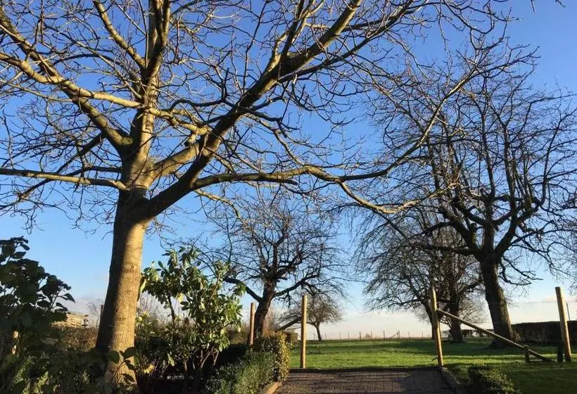 Aamiaismajoitus (B&B) T Reijmerhöfke