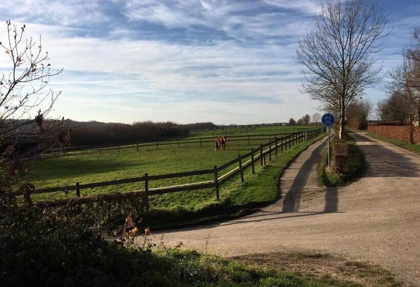 צימר T Reijmerhöfke