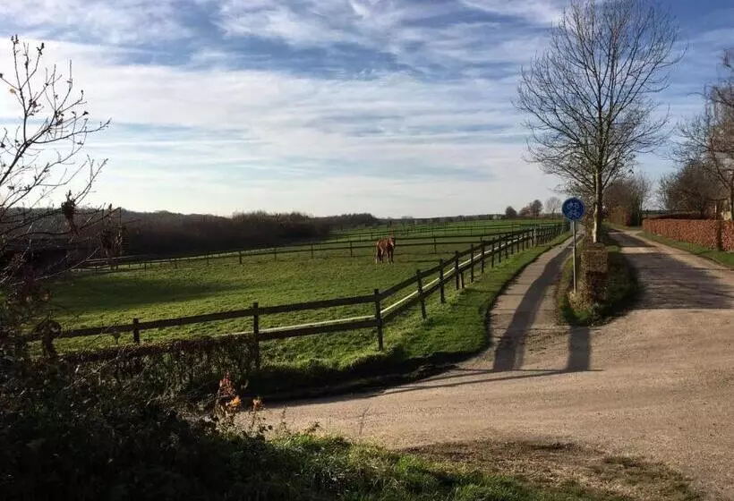 Aamiaismajoitus (B&B) T Reijmerhöfke