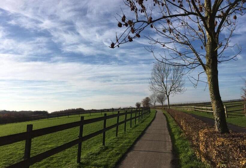 צימר T Reijmerhöfke