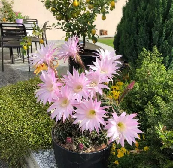 هتل Agriturismo Regusci