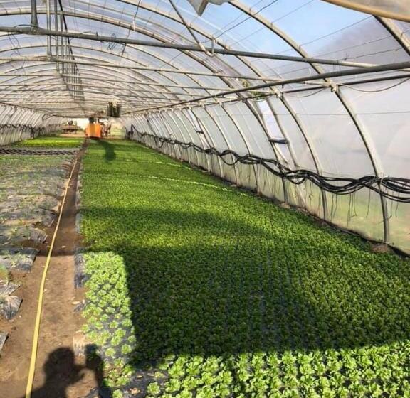 בית מלון כפרי Agriturismo Regusci