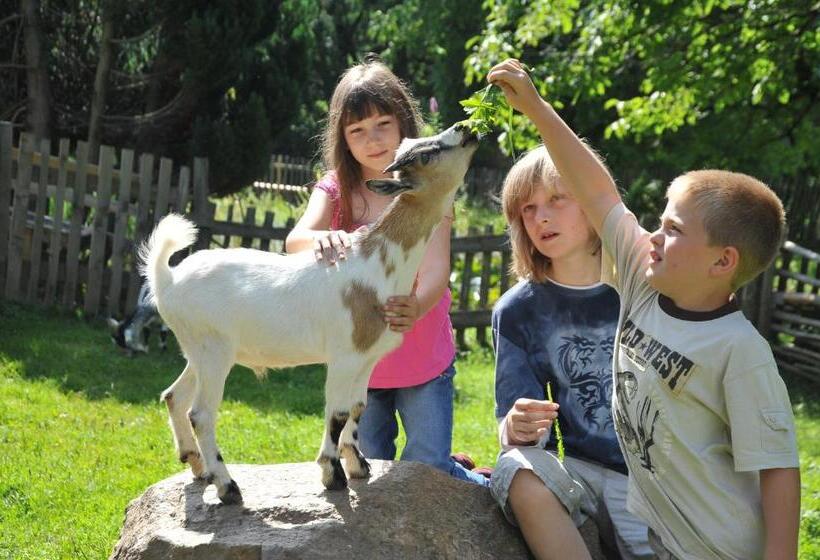 فندق Allesbauer   Familie Preis