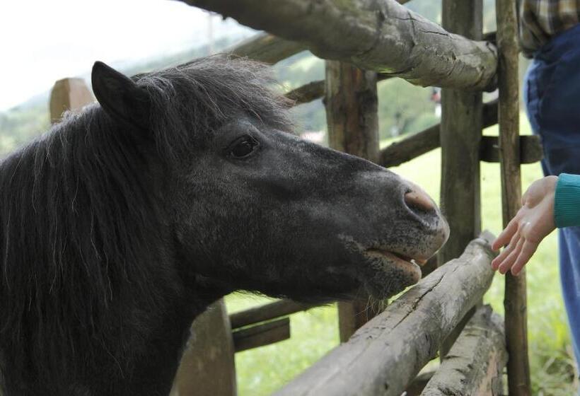 فندق Allesbauer   Familie Preis