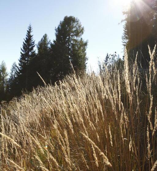 فندق Allesbauer   Familie Preis