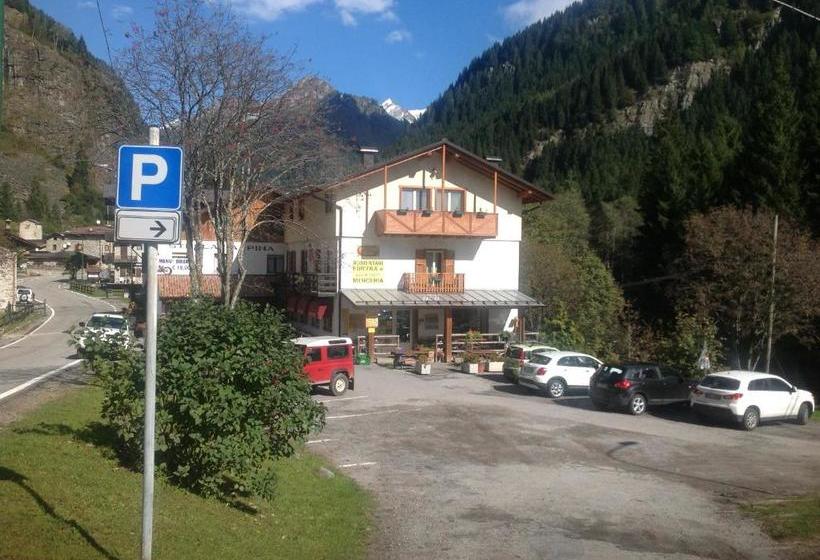 פנסיון Affittacamere Valle Dorizzo Di Scavoni Paolo