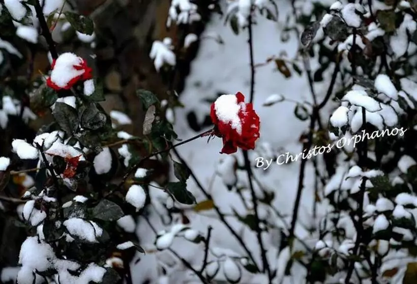 ペンション Arhontiko Askas Mansion