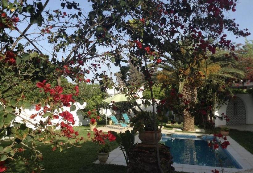 بنسيون Carmella